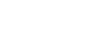 Partner 5